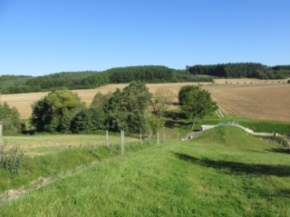 3) II. kategorie-po.jpg