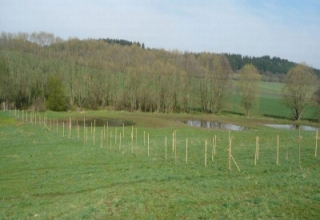 5) III. kategorie-po.jpg