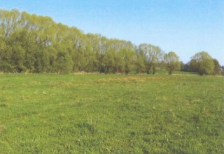 6) III. kategorie-před.jpg