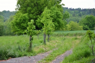 7) cena veřejnosti-před.JPG