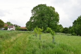 8) cena veřejnosti- po.JPG