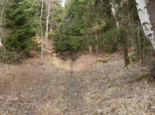 Olšany u Telče4.jpg