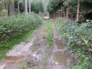 Panenská Rozsíčka2.jpg