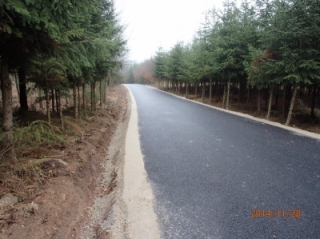 Panenská Rozsíčka3.jpg