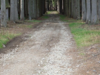 Panenská Rozsíčka4.jpg