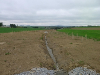 Ozelenění  úseku mezi poldry č. 2 a č. 3.jpg