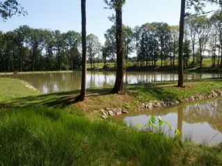 krajinotvorná nádrž na toku Mušalec v k. ú. Třanovice_po úpravě.jpg