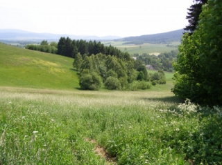 opatření na zvýšení ekologické stability v k. ú. Lichkov_před úpravou.jpg