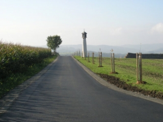 polní cesta v k. ú. Olešnice na Moravě_po úpravě.jpg