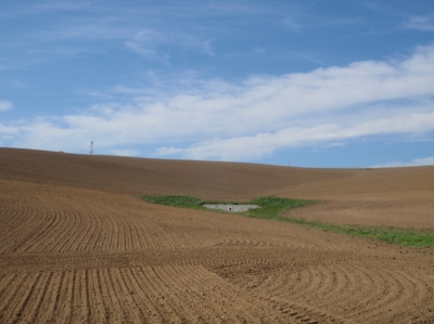 záchytná nádrž ZN1.JPG