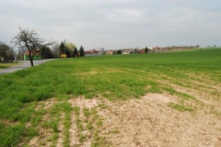 Před realizací I.JPG