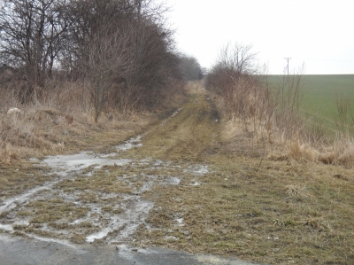 01 Polní cesta C3 před realizací 1.jpg