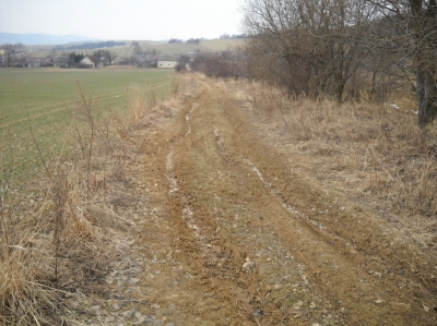 03 Polní cesta C3 před realizací 2.jpg