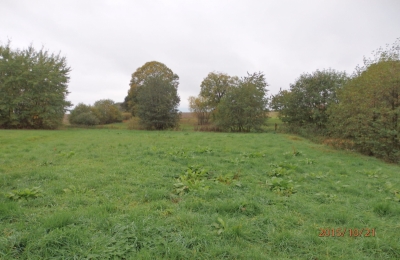 Prostřední Svince - stav před realizací.JPG