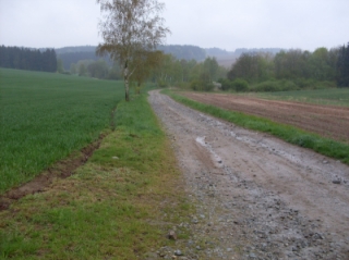 PC Brzkov-začátek cesty_u napojení na II_351.JPG