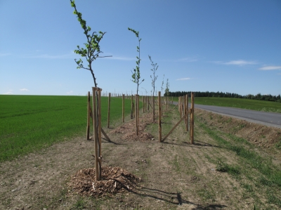 PC C3 Boškov s IP 11a.JPG