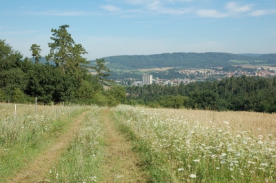 Polní cesta před rekonstrukcí 2.jpg