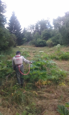 příklad likvidace.jpg