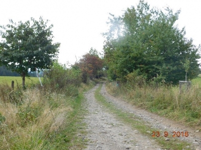 C01 v k.ú. Vysočany u Ovesných Kladrub.jpg