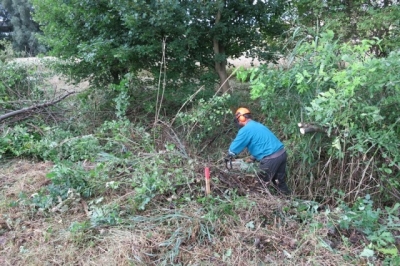 LBC5 Na potoce v k.ú. Letonice - kácení 010 (3).JPG