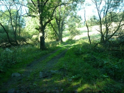 VPC 2 v k. ú. Vysočany u Ovesných Kladrub.jpg