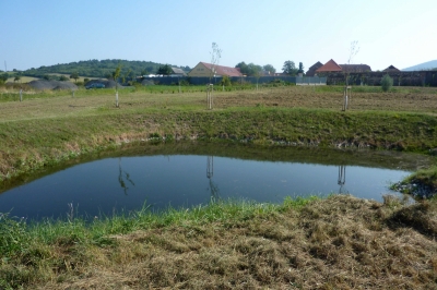 Tůňky v Razicích 2.JPG