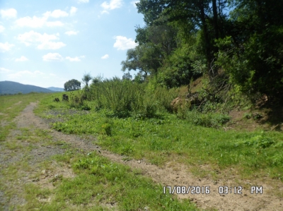 Hodousice F1-před realizací.JPG