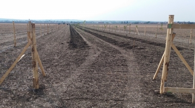 VN2 během výsadby.jpg