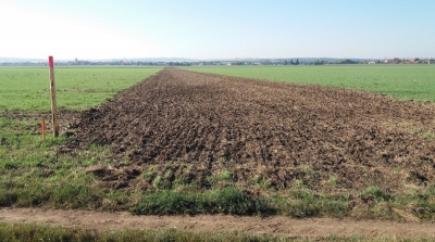 VN2 před výsadbou.jpg