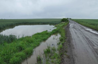 Chybějící propustek a tím způsobené zamokření nad polní cestou vedoucí severozápadním směrem od křížení po hranici katastru Pesvic.png