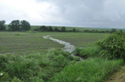 „Nové“ koryto bezejmenného toku vzniklé díky zanesenému zatrubnění.png