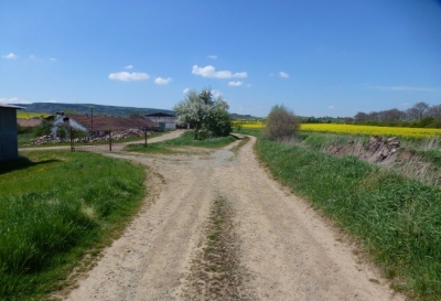 Polní cesta C 11a v k.ú. Stebno u Petrohradu.jpg