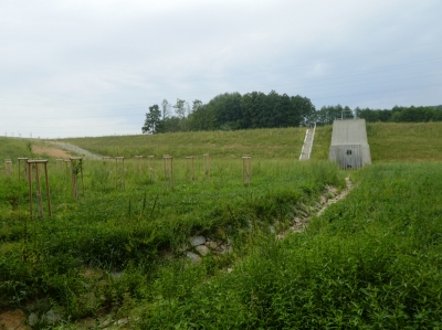 Topolná Komárov 3.JPG