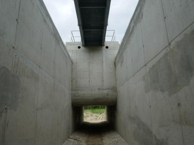 Topolná Komárov 6.JPG