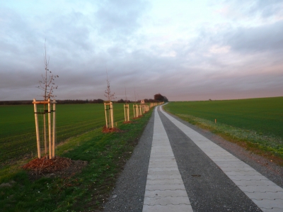 Obr. 1.  Jednoduchá linie v k.ú. Sovenice.JPG