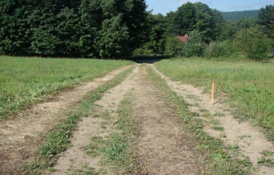 Začátek polní cesty – stav před realizací.jpg