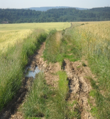 před realiací 2.jpg