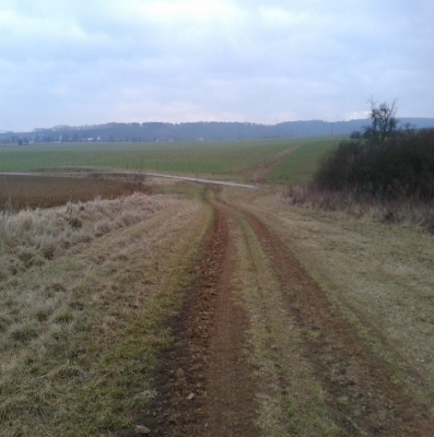 před realizací.jpg