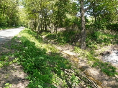 Před realizací.jpg