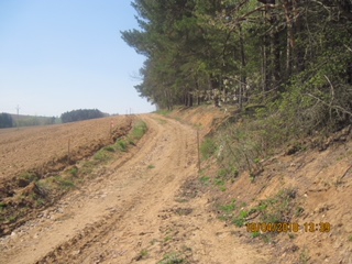 Čechočovice C11.JPG