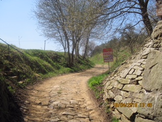 Čechočovice C 11.JPG