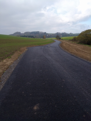 Polní cesta C6 v k. ú. Libice nad Doubravou.jpg