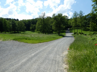 cesta HC3b - povrch MZK.JPG