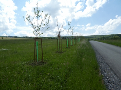 Interakční prvek s cestou HC3b.JPG