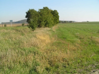 Před výstavbou.JPG