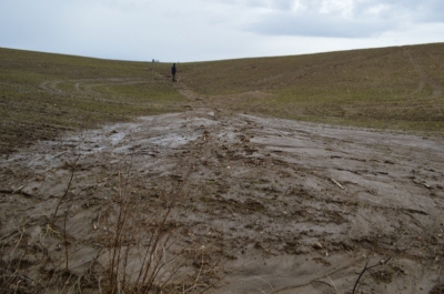 jaro 2018 vs. léto 2018.jpg