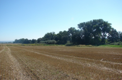 Situace před realizací.jpg