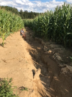 Soukromý archiv – jaro 2018 vs. léto 2018.jpg