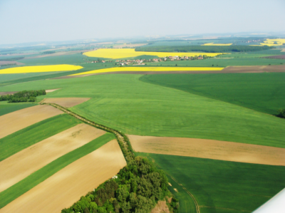 Lokální biokoridor LB 1 v katastrálním území Dubečno na okrese Nymburk.png