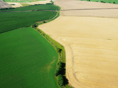 Lokální biokoridor LBKS v katastrálním území Stránka na okrese Praha – východ..png